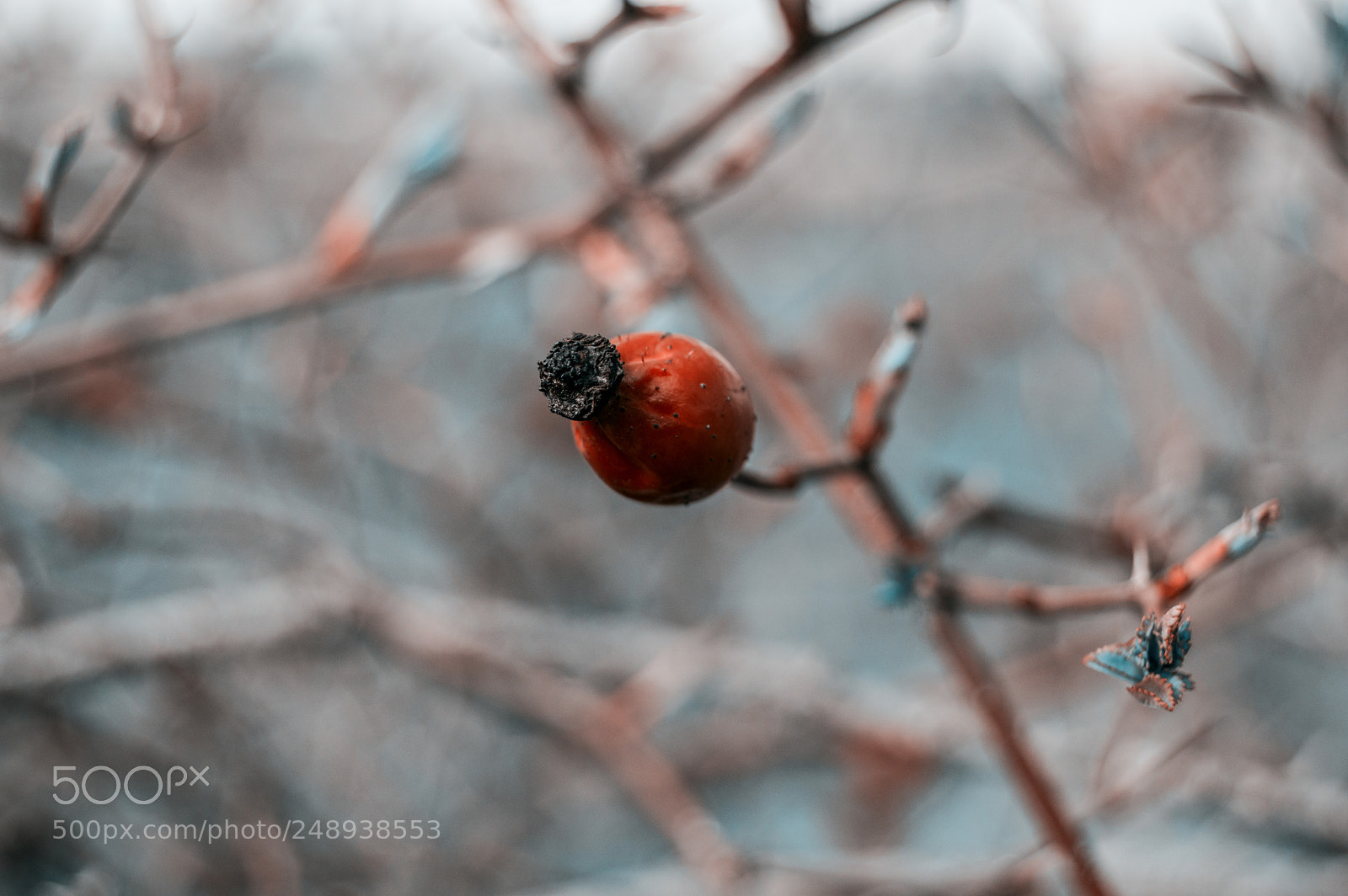 Nikon D3200 sample photo. ? photography