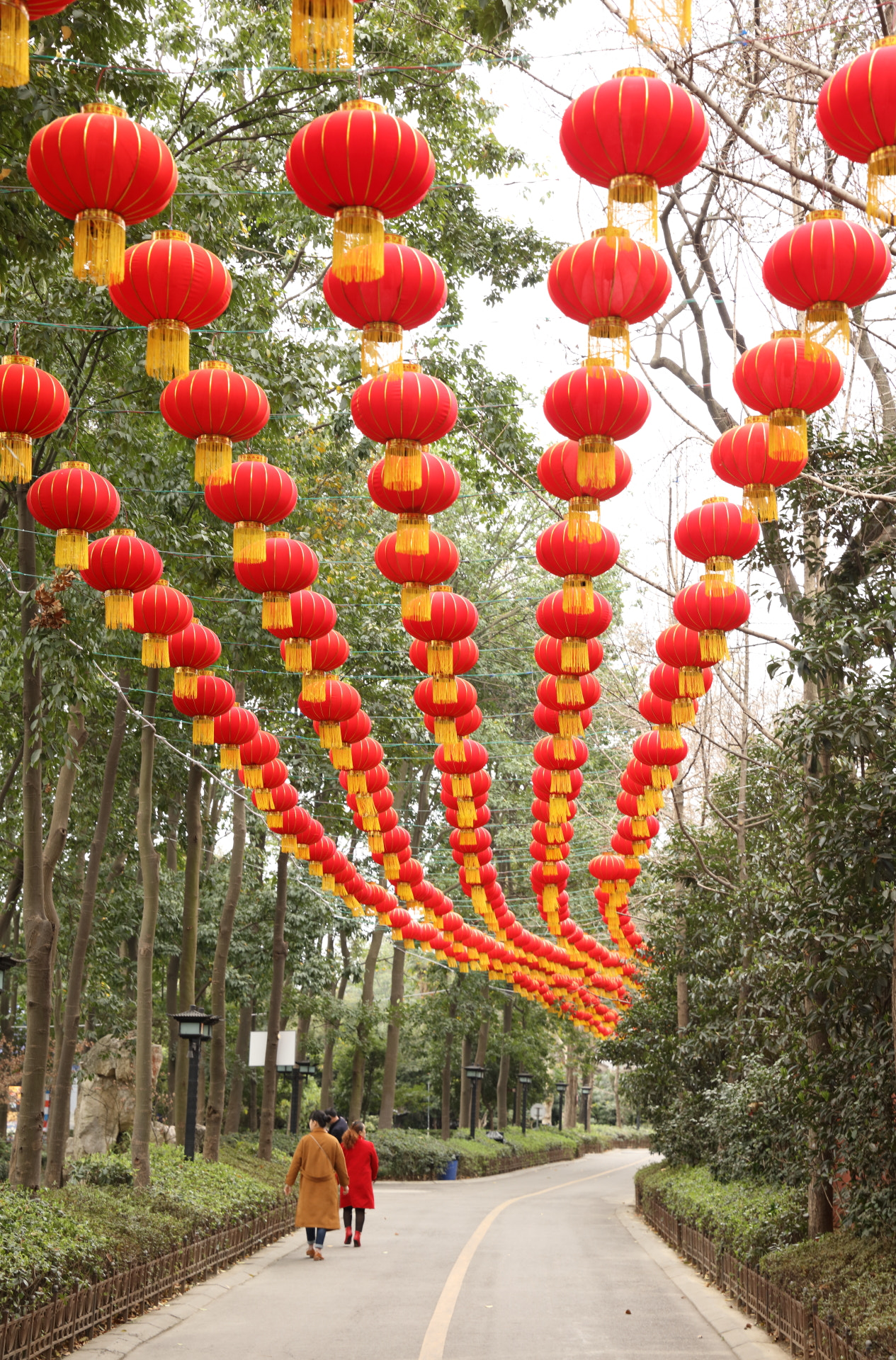 Canon EOS 5DS R sample photo. Chinese  new  year photography