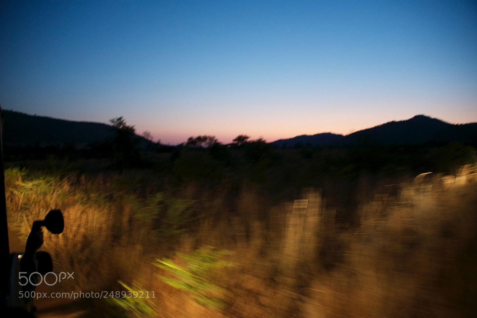 Nikon D800 sample photo. Untitled photography