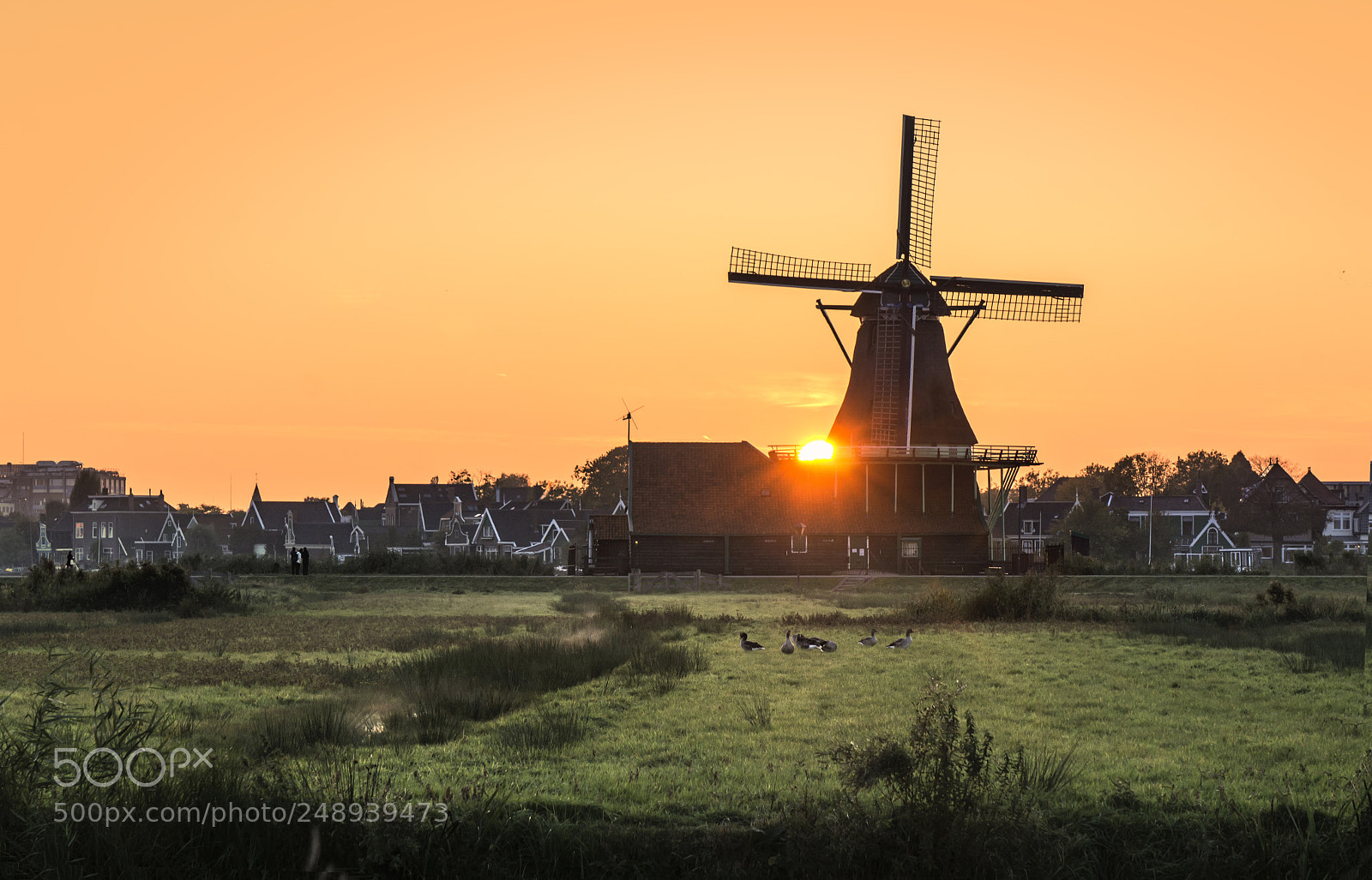 Sony a6000 sample photo. Zaanse sunset photography