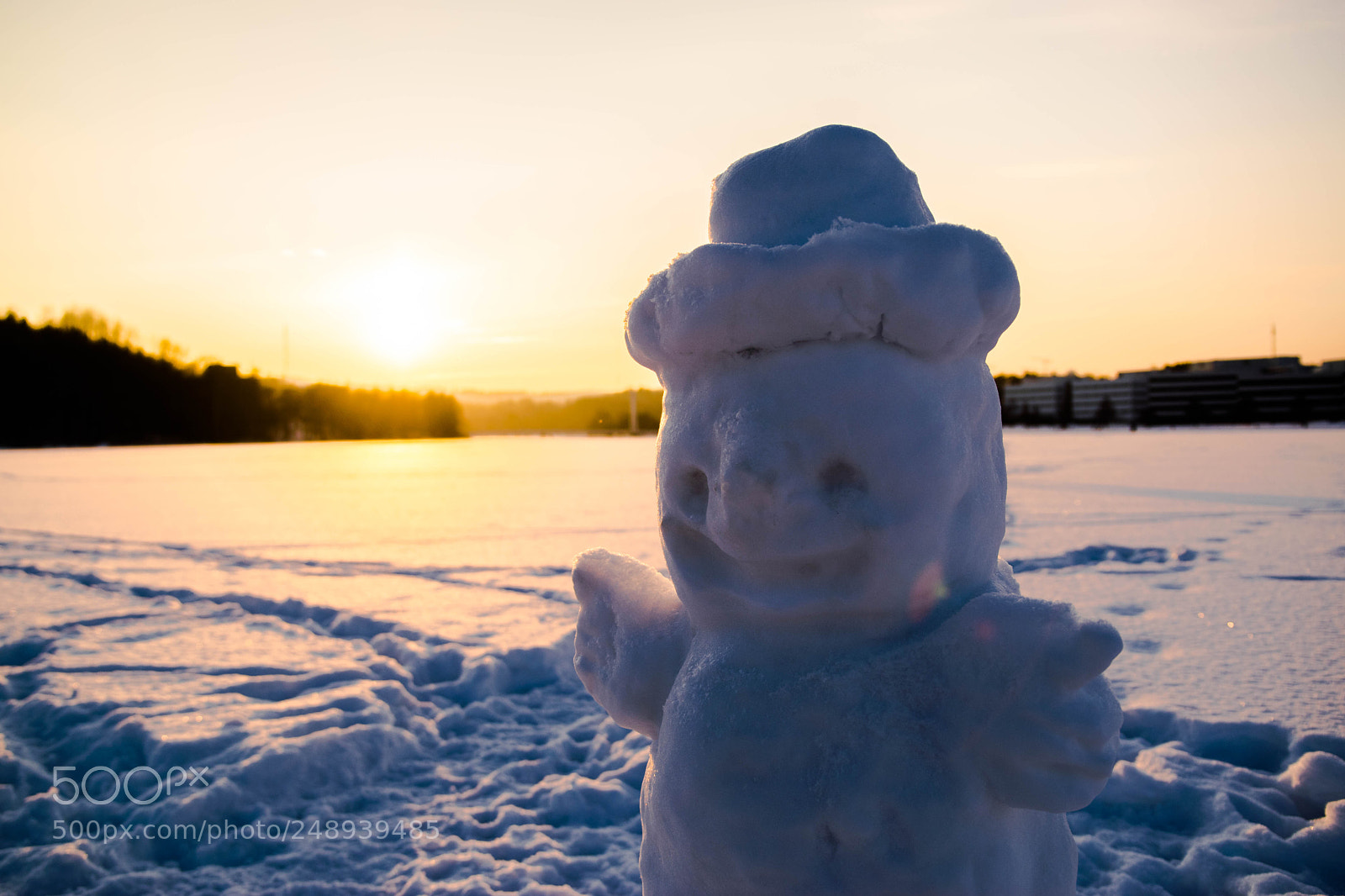 Nikon D3300 sample photo. Snowman photography