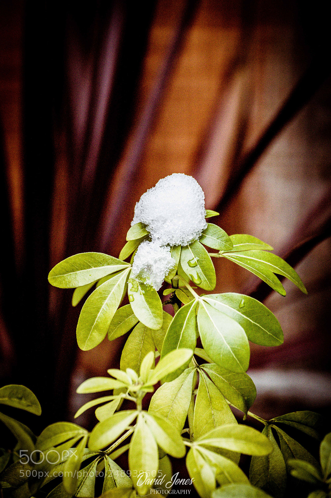 Nikon D3200 sample photo. Dsc photography