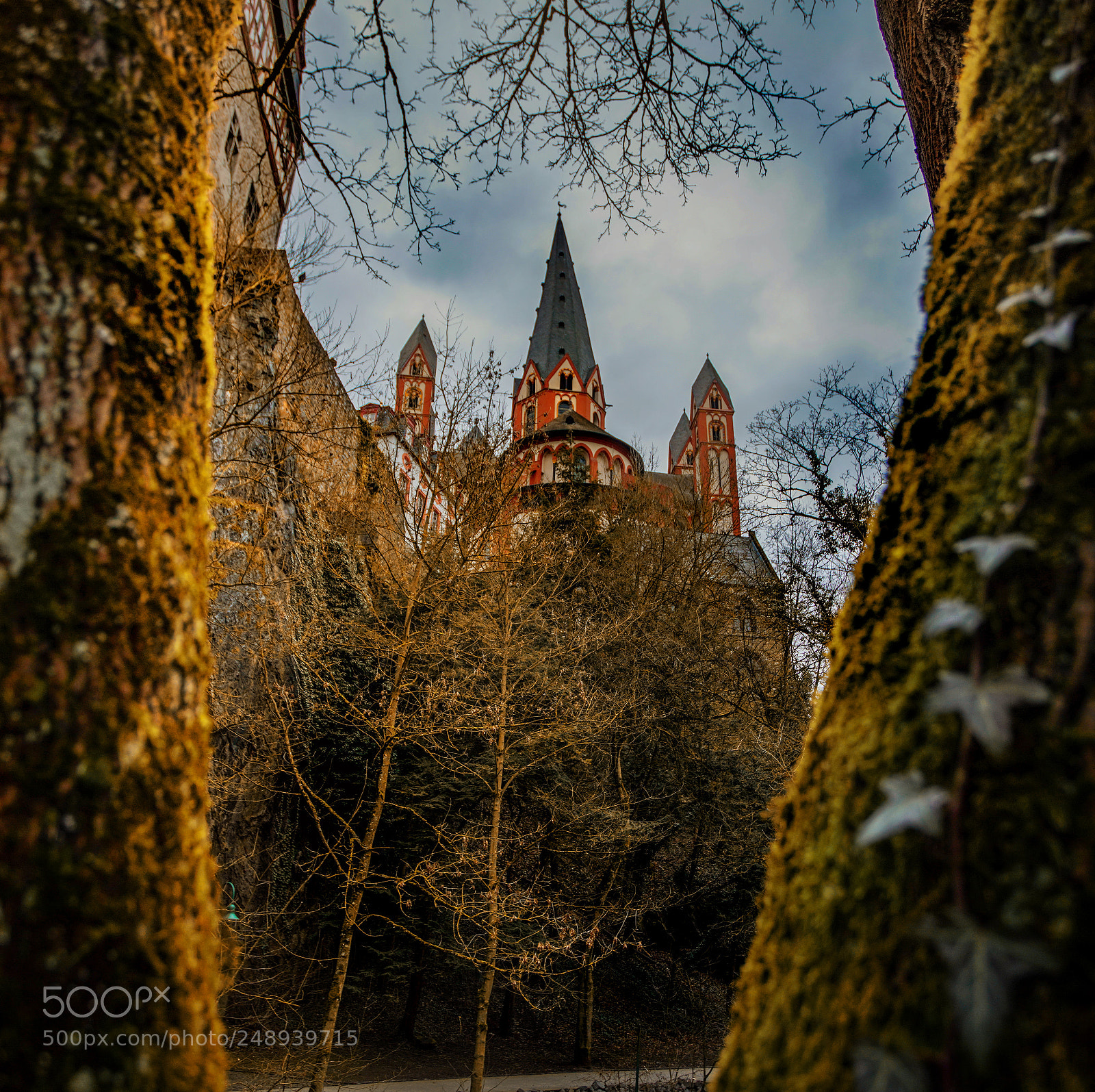 Sony a7R III sample photo. Limburger dom photography