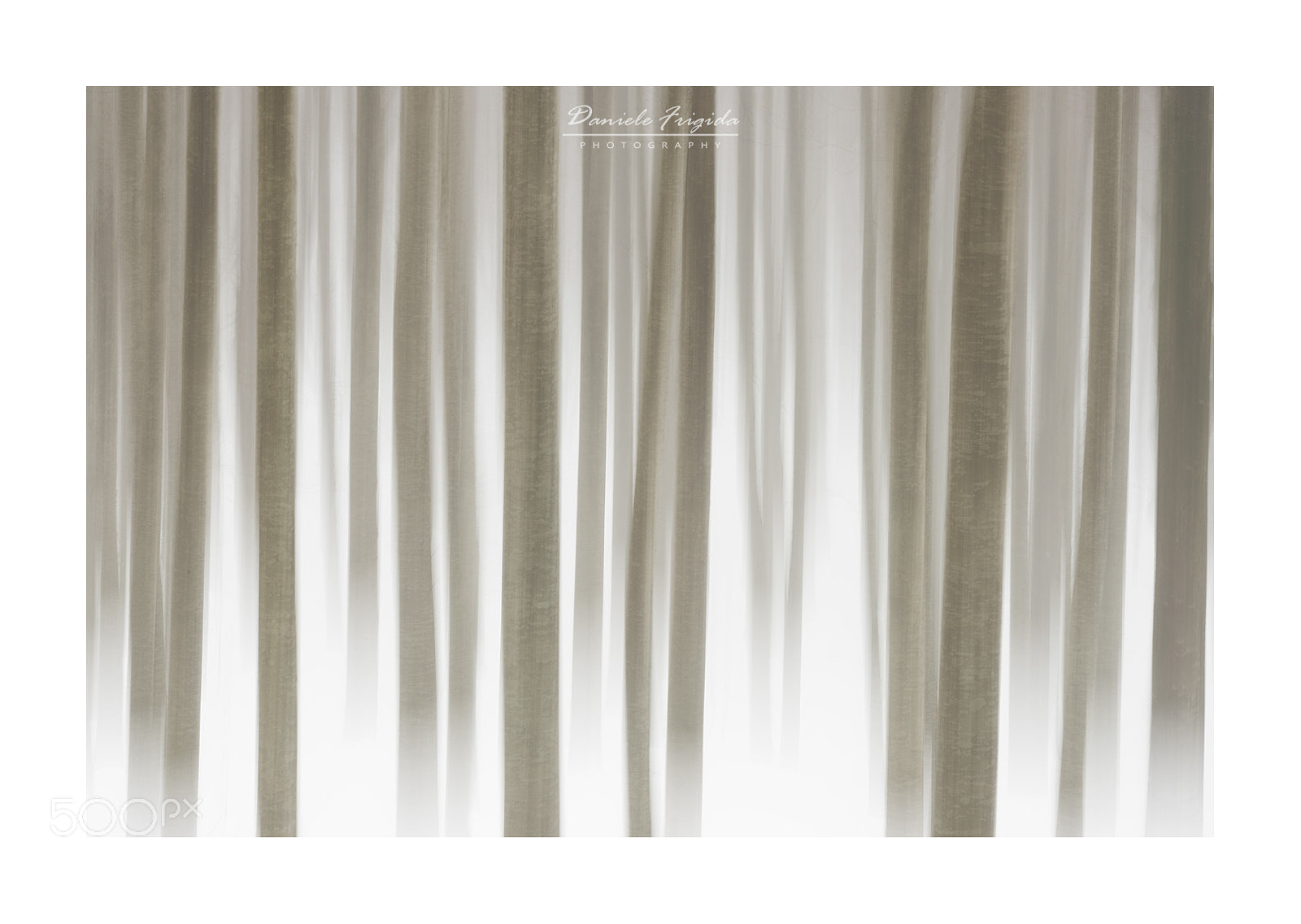 Nikon D610 sample photo. Faggeta in inverno photography