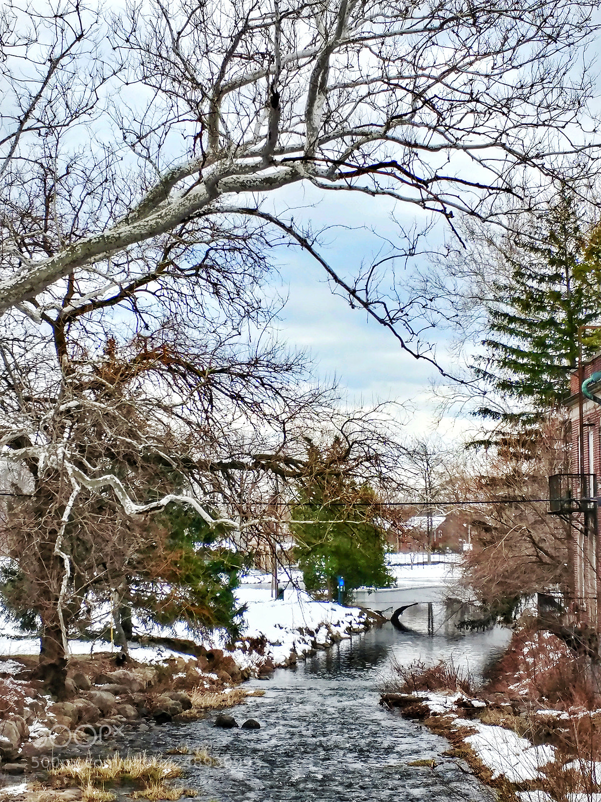 LG V20 sample photo. After snow - 雪後初晴, 昨天走去鎮上的餐館午膳, 餐後信步走走鎮上大街。看到本來無甚可觀的這ㄧ河景, 其紛亂、禿禿的樹枝和地上積雪, ㄧ片殘冬之景反倒有ㄧ㸃㸃冬日之美。 photography