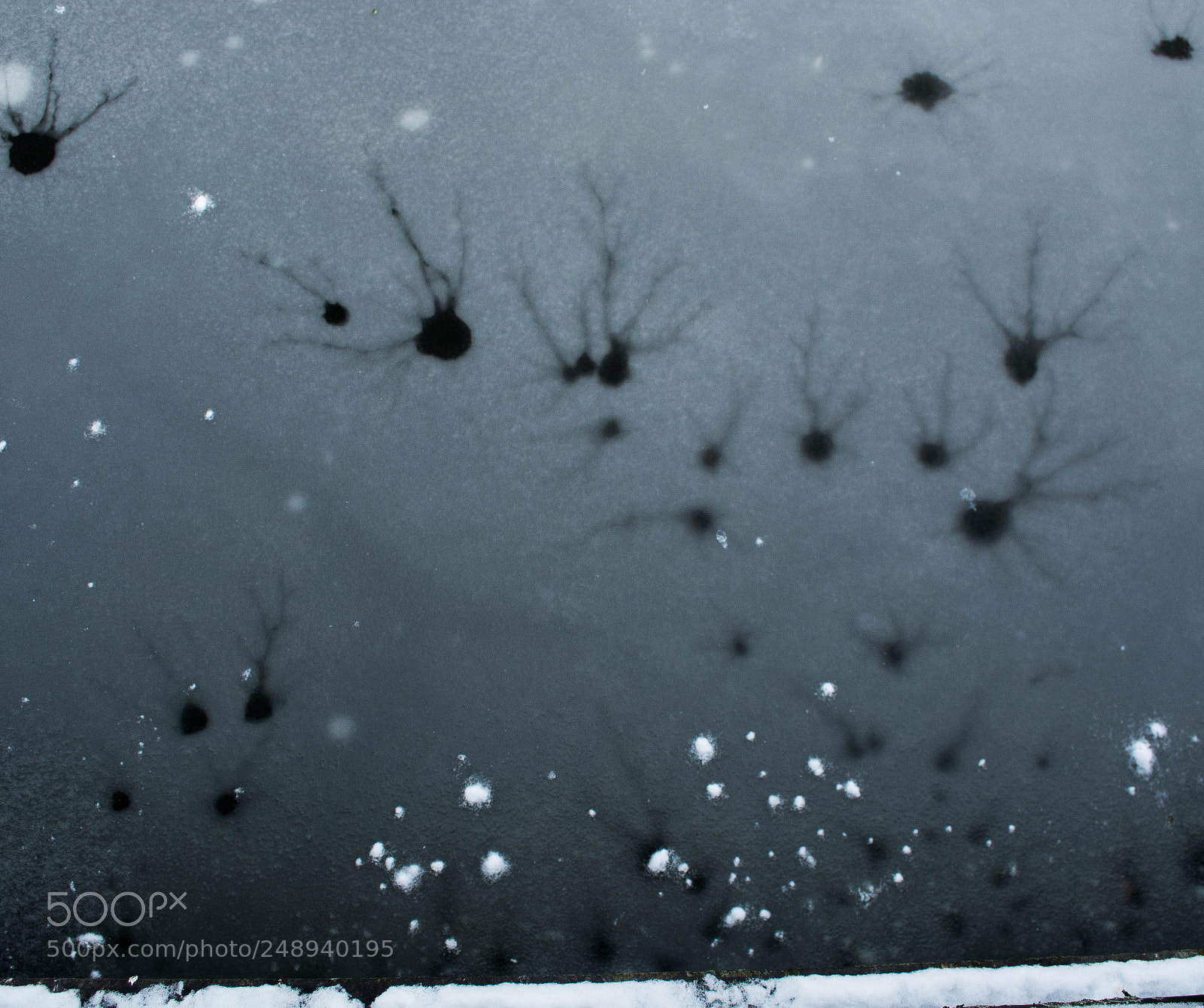 Nikon D7100 sample photo. Icy layer photography