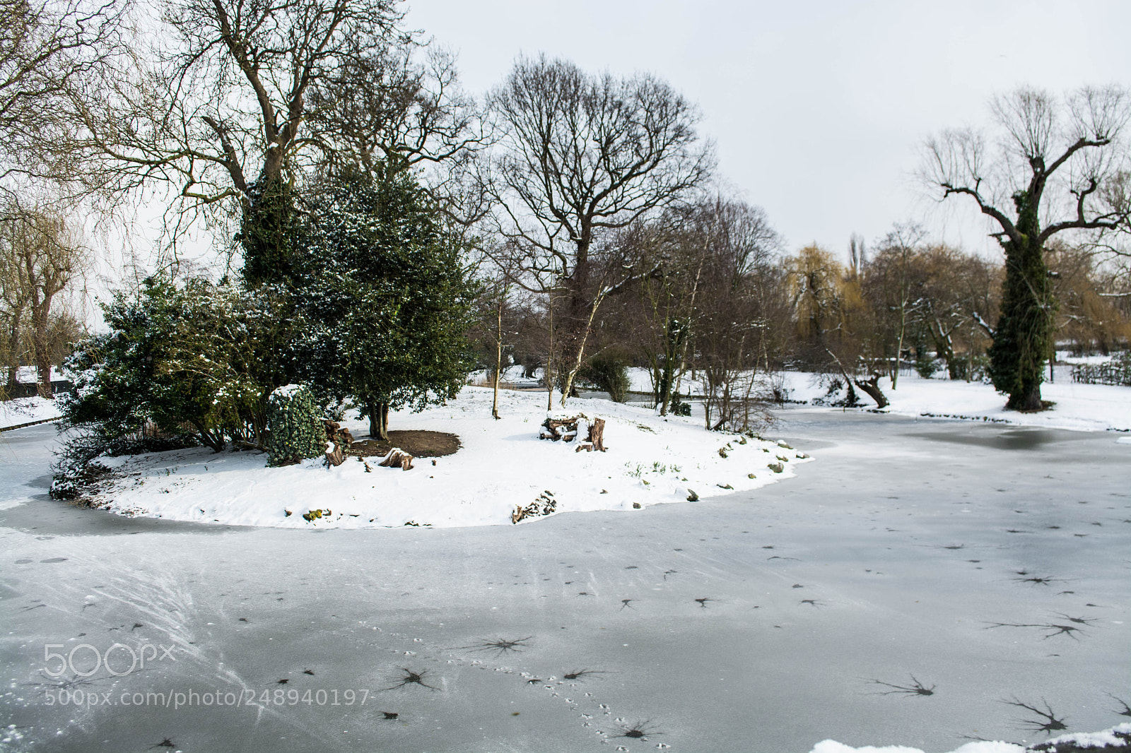 Nikon D7100 sample photo. Frozen london photography