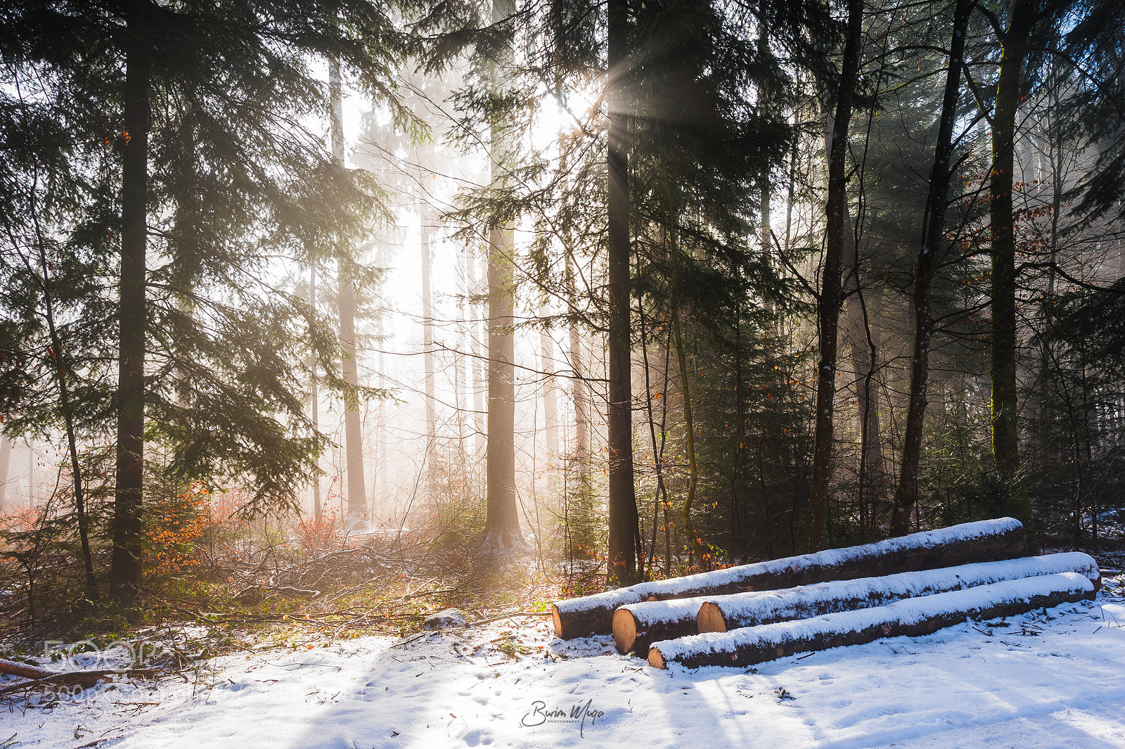 Nikon Df sample photo. Winter sunrise photography