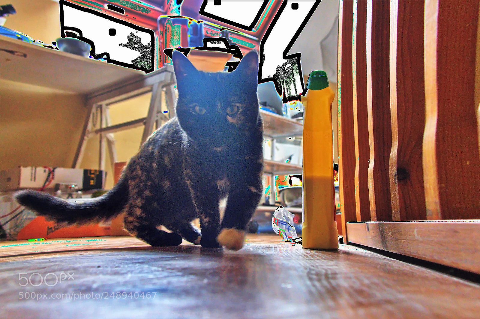 Panasonic Lumix DMC-FZ1000 sample photo. Vvv () photography