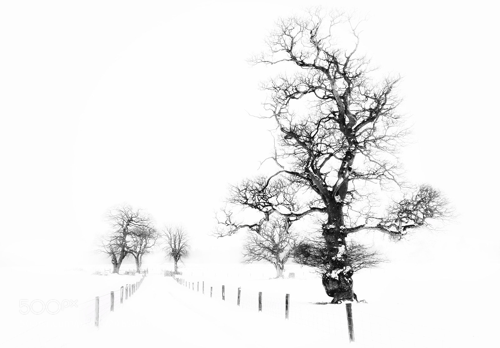 Fujifilm X30 sample photo. White out photography