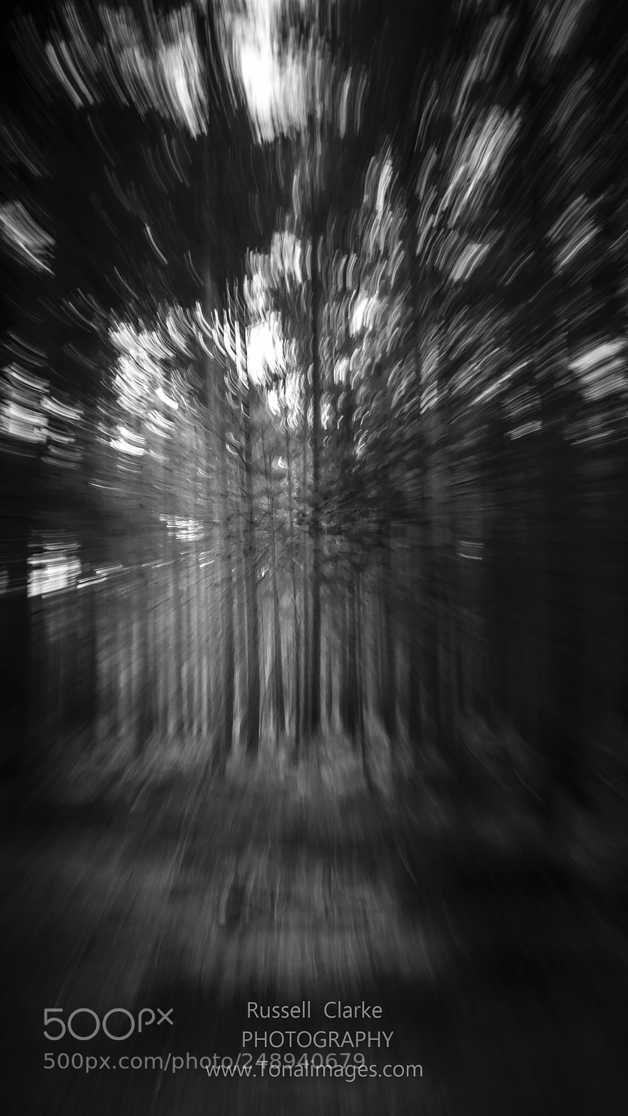 Nikon D700 sample photo. Into the woods man photography