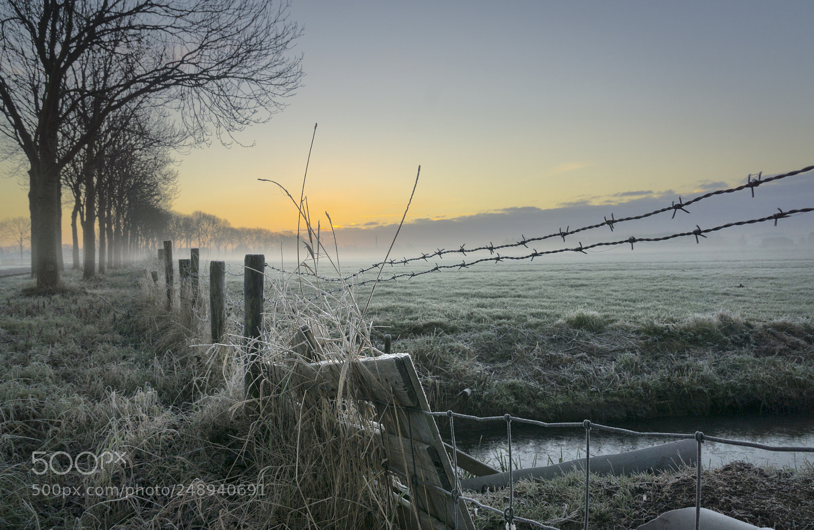 Sony a6000 sample photo. Winters morn photography