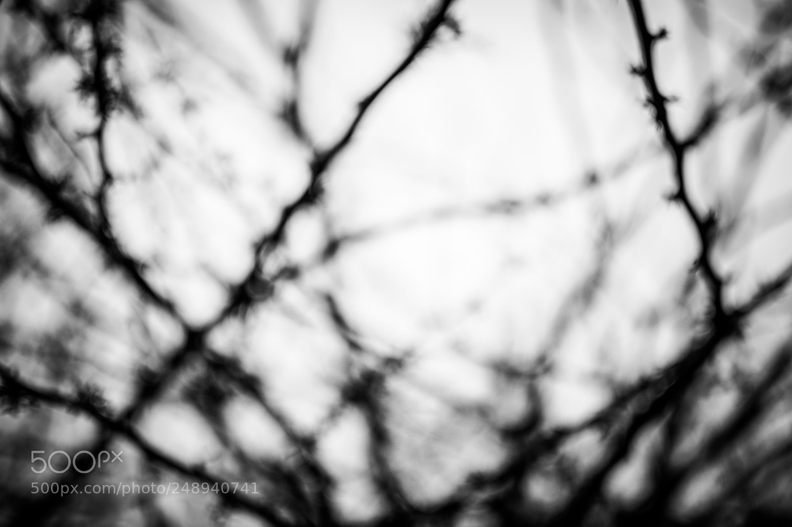 Nikon D7100 sample photo. Line splay photography
