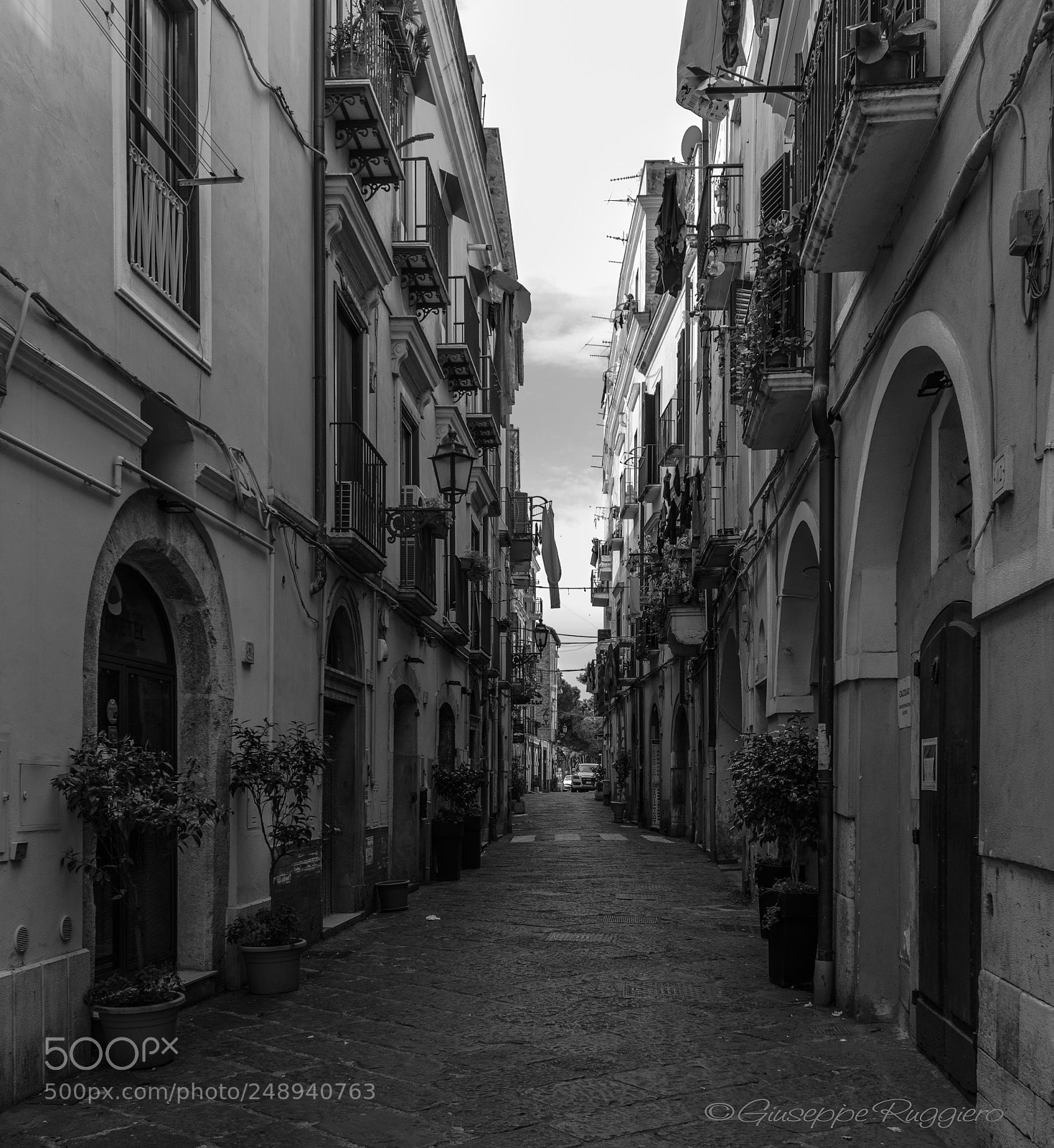 Canon EOS 80D sample photo. B&w photography