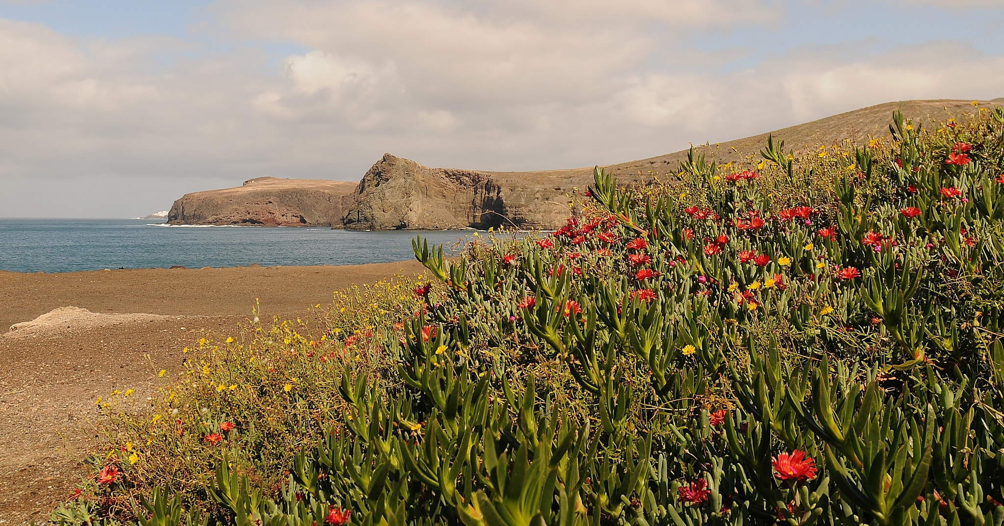 Nikon D300 sample photo. Gran canaria photography