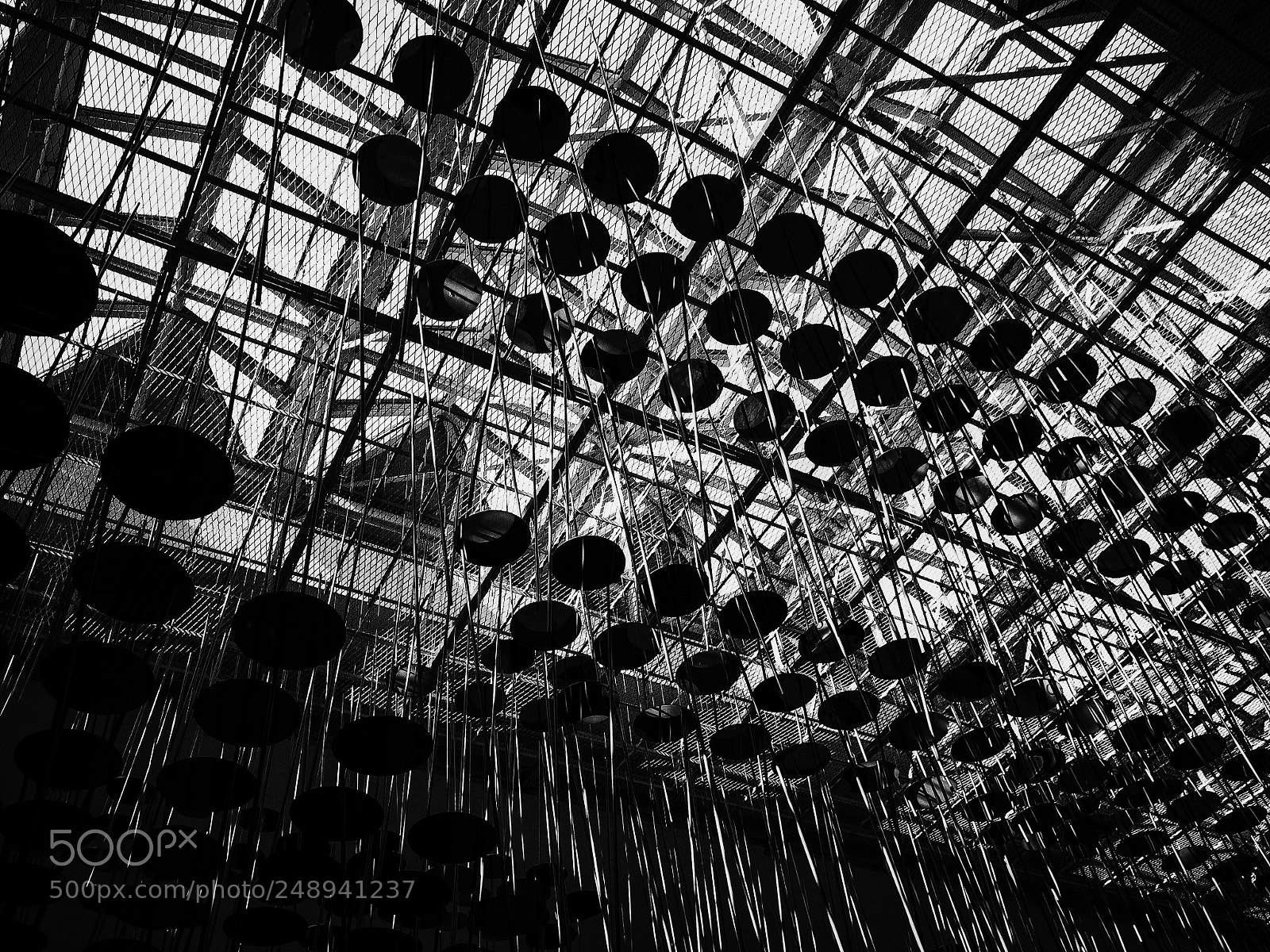 Ricoh GR II sample photo. Untitled photography