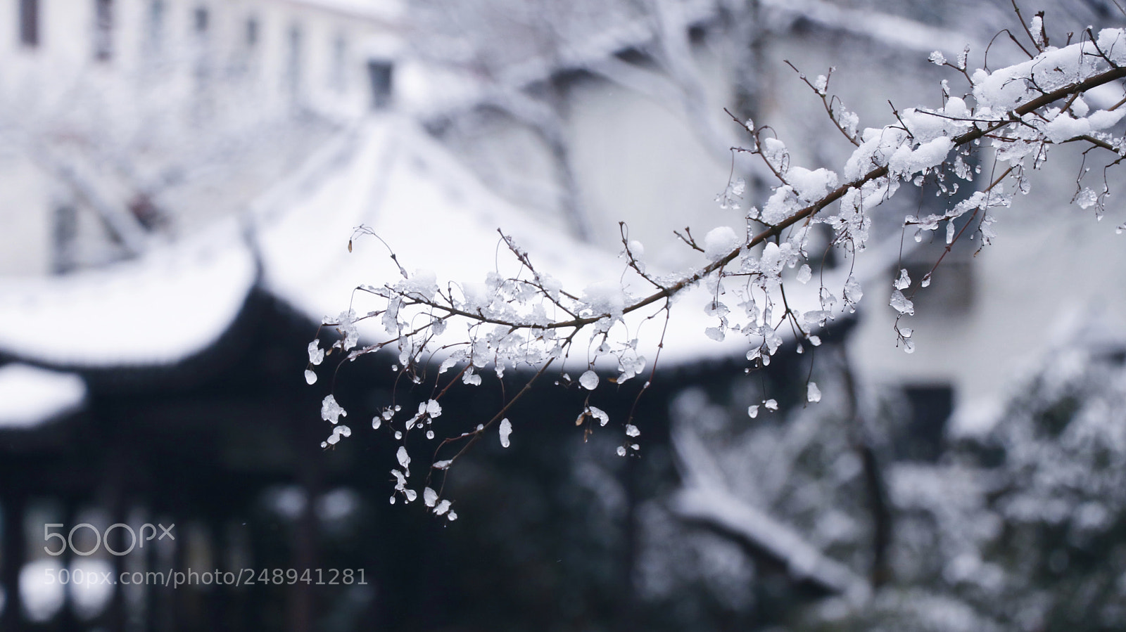 Canon EOS 80D sample photo. 江南的雪是不常见的 photography