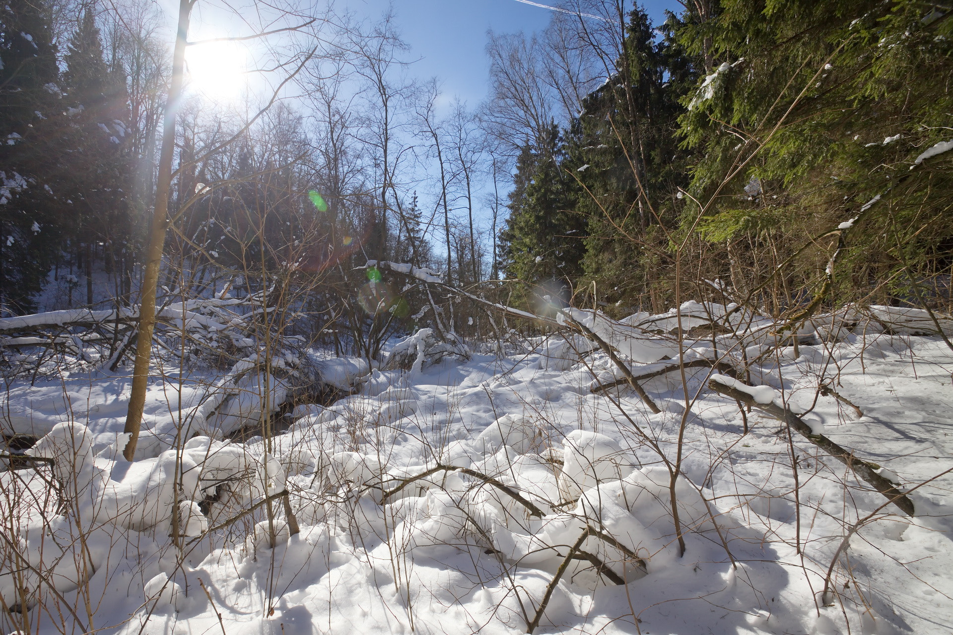 Sigma 10-20mm F3.5 EX DC HSM sample photo. Мягкая перина photography