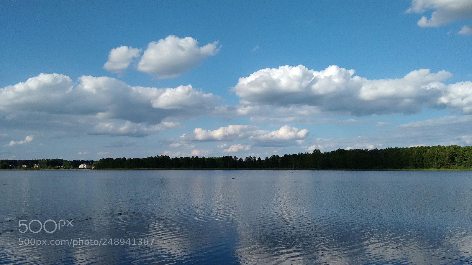 Motorola Moto G (2nd Gen) sample photo. Copy photography