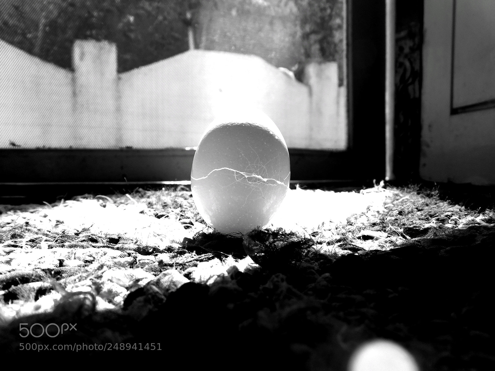 Nikon Coolpix L840 sample photo. Egg photography