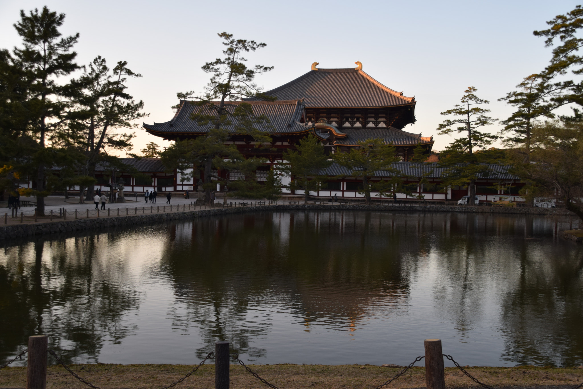 Nikon D3300 sample photo