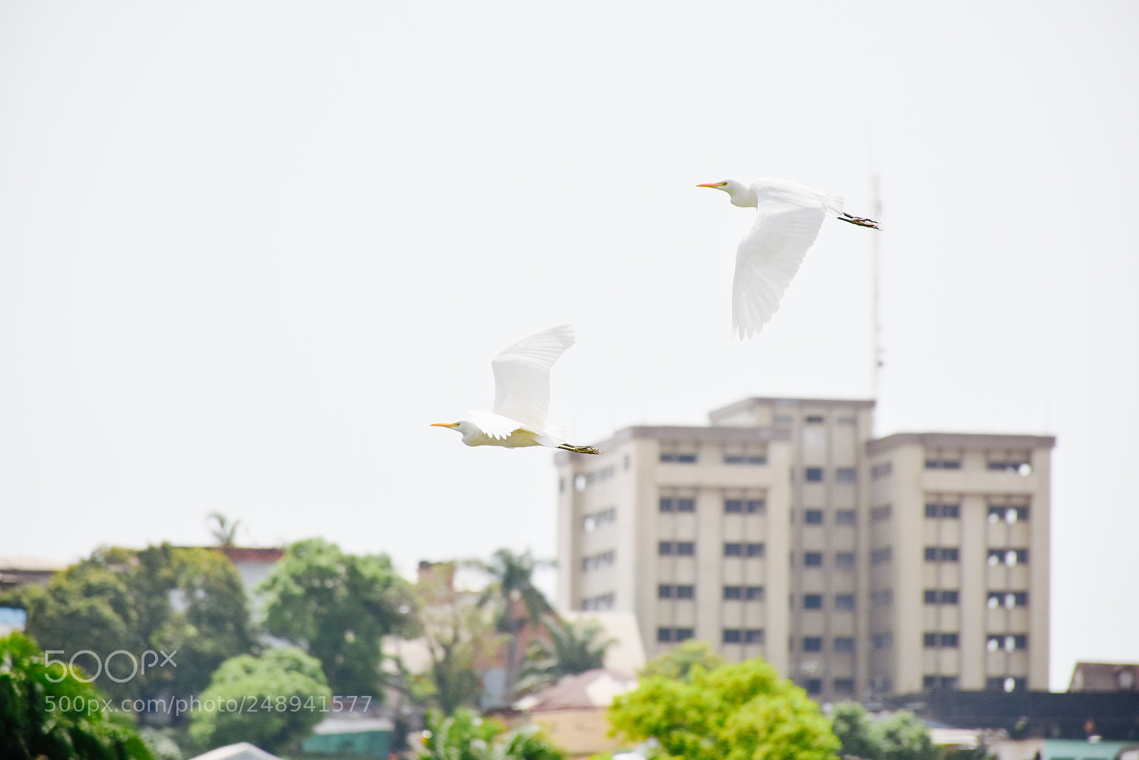 Nikon D7200 sample photo. A sight of liberia photography