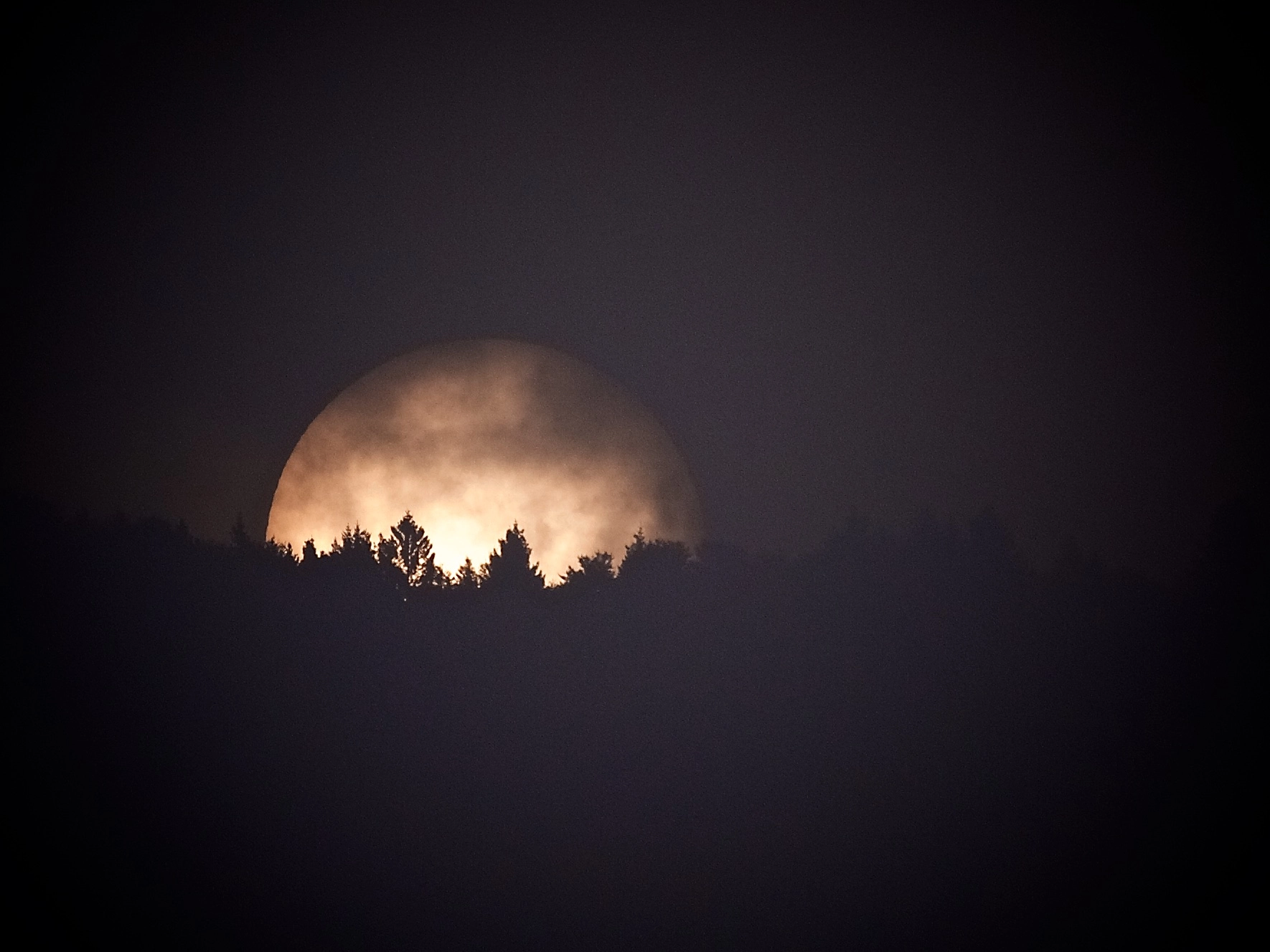 Olympus E-5 sample photo. Sole o luna photography