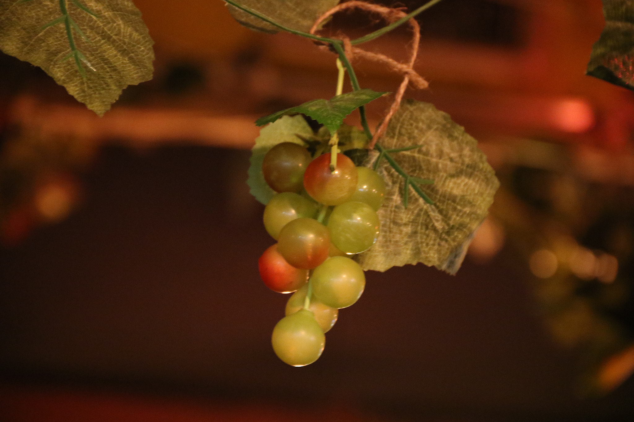 Canon EF-S 18-135mm F3.5-5.6 IS sample photo. Greap photography
