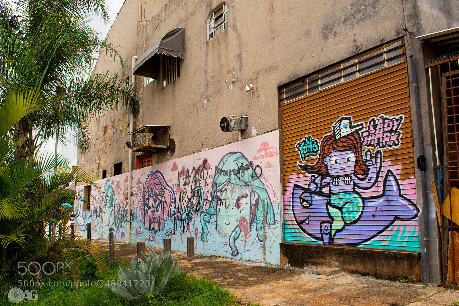 Nikon D5200 sample photo. Grafiti photography