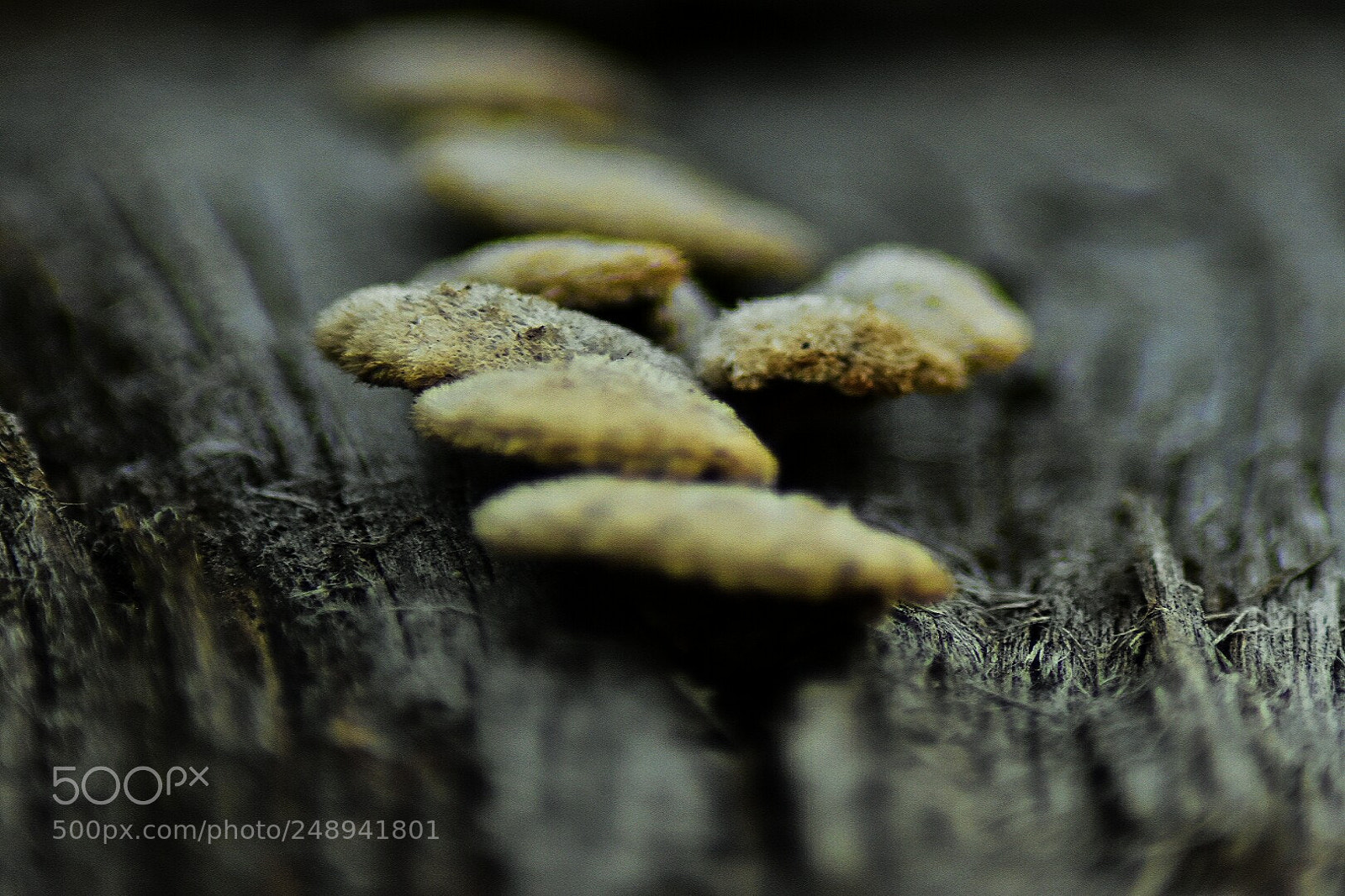 Nikon D3400 sample photo. Untitled photography