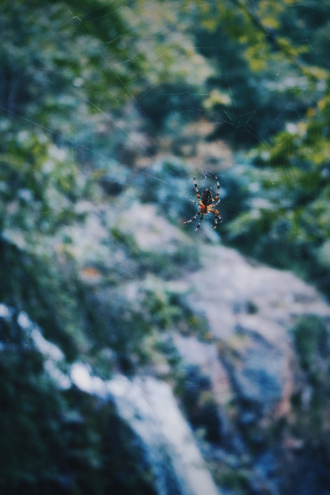 Samsung NX mini sample photo. Untitled photography