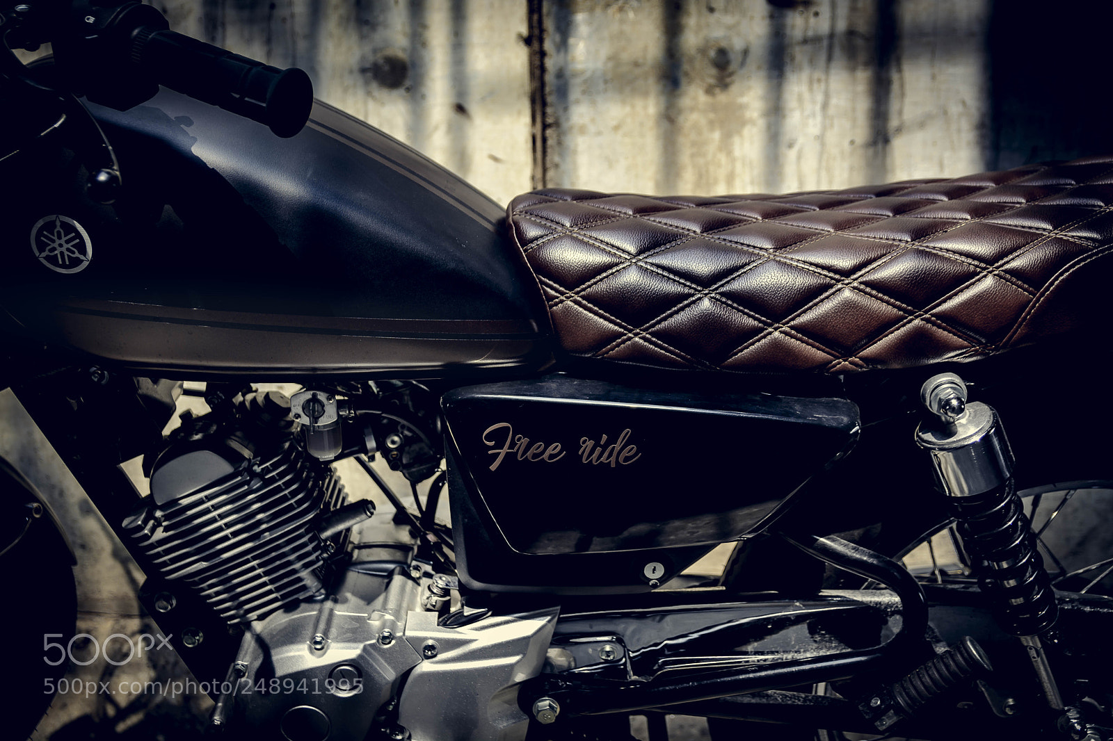 Nikon D7100 sample photo. Free ride, free life photography