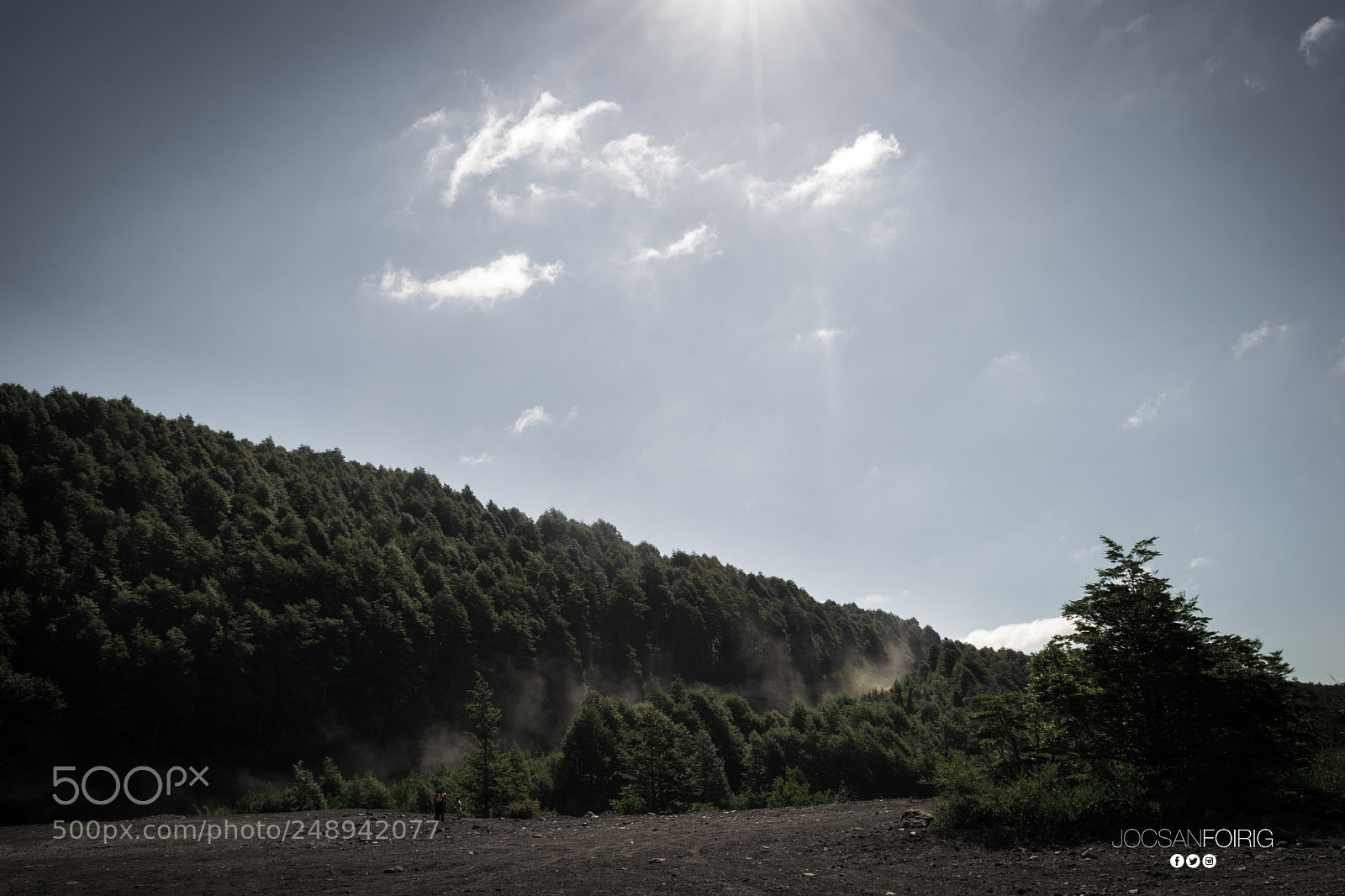 Nikon D5300 sample photo. Forest photography