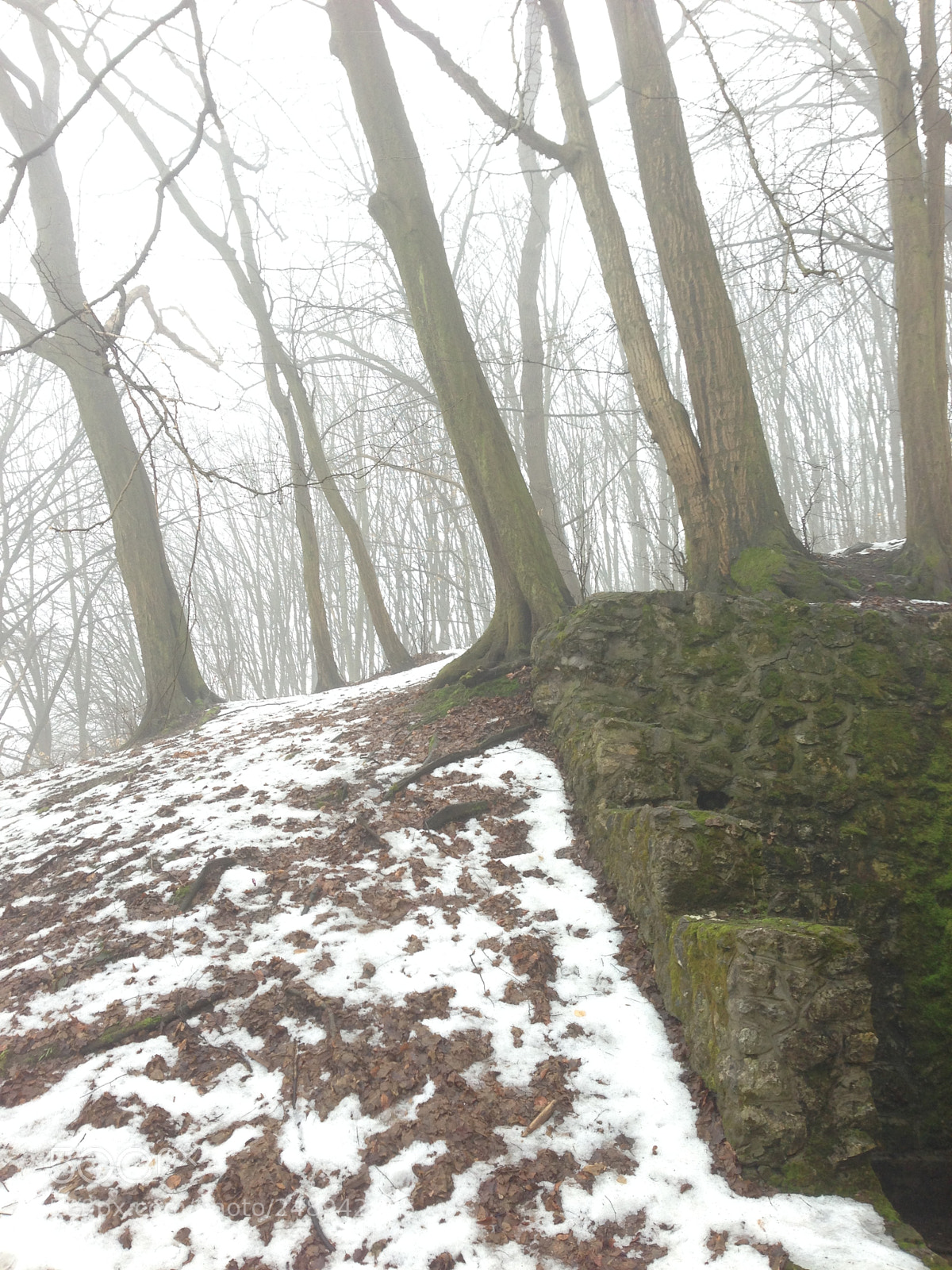 Apple iPhone 5 sample photo. Winter - foggy photography