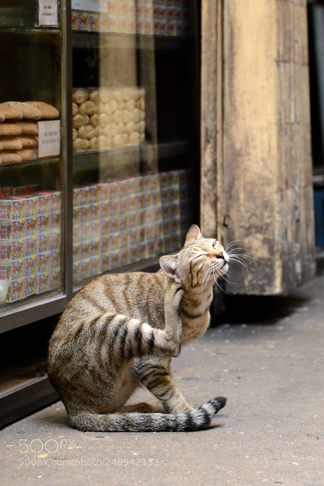 Nikon D600 sample photo. Being naughty photography