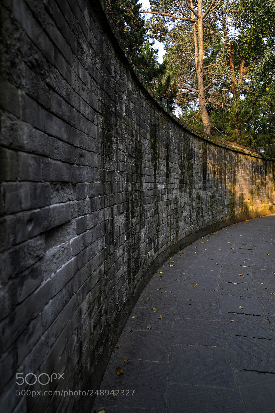 Canon EOS-1D X Mark II sample photo. Old wall photography