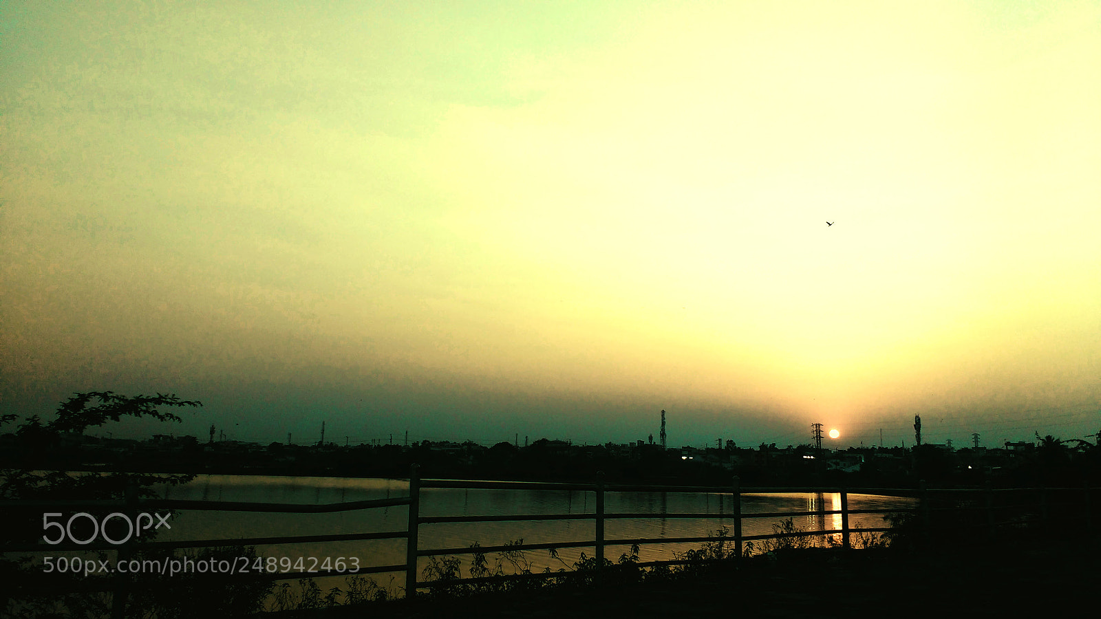Motorola MotoG3 sample photo. Beauty of nature photography
