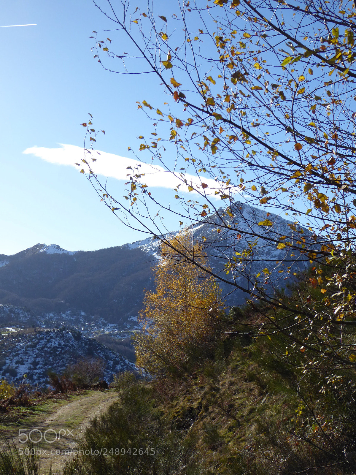 Panasonic Lumix DMC-ZS50 (Lumix DMC-TZ70) sample photo. Autumn photography