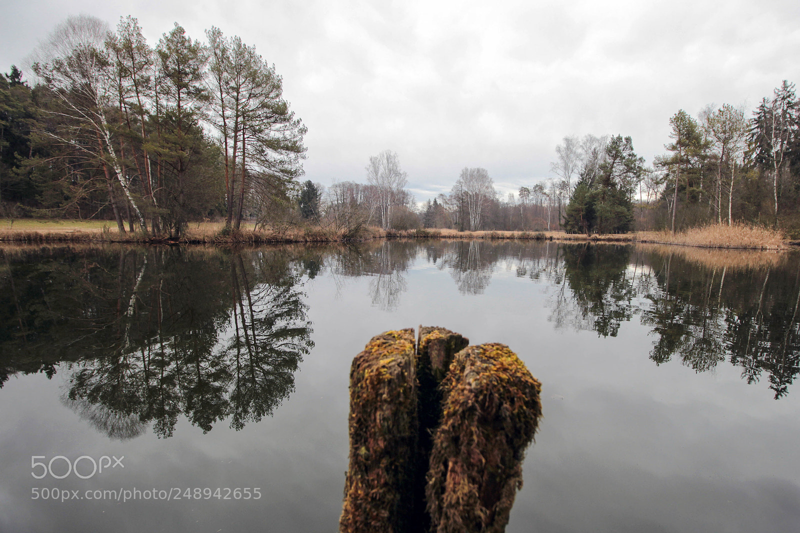 Canon EOS 600D (Rebel EOS T3i / EOS Kiss X5) sample photo. Lake photography