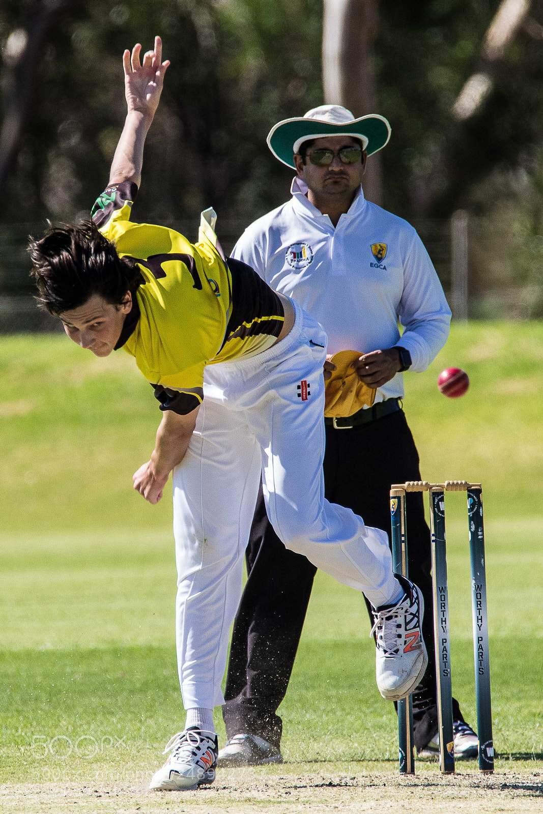Canon EOS 7D Mark II sample photo. Cricket photography