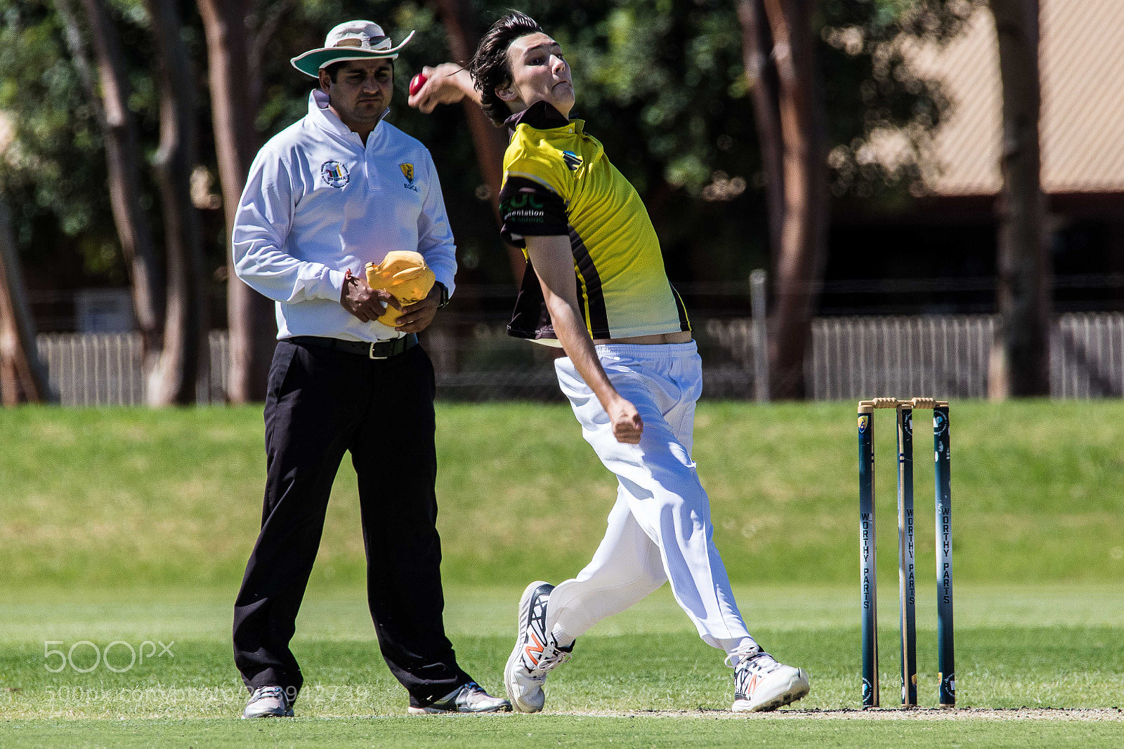 Canon EOS 7D Mark II sample photo. Cricket photography