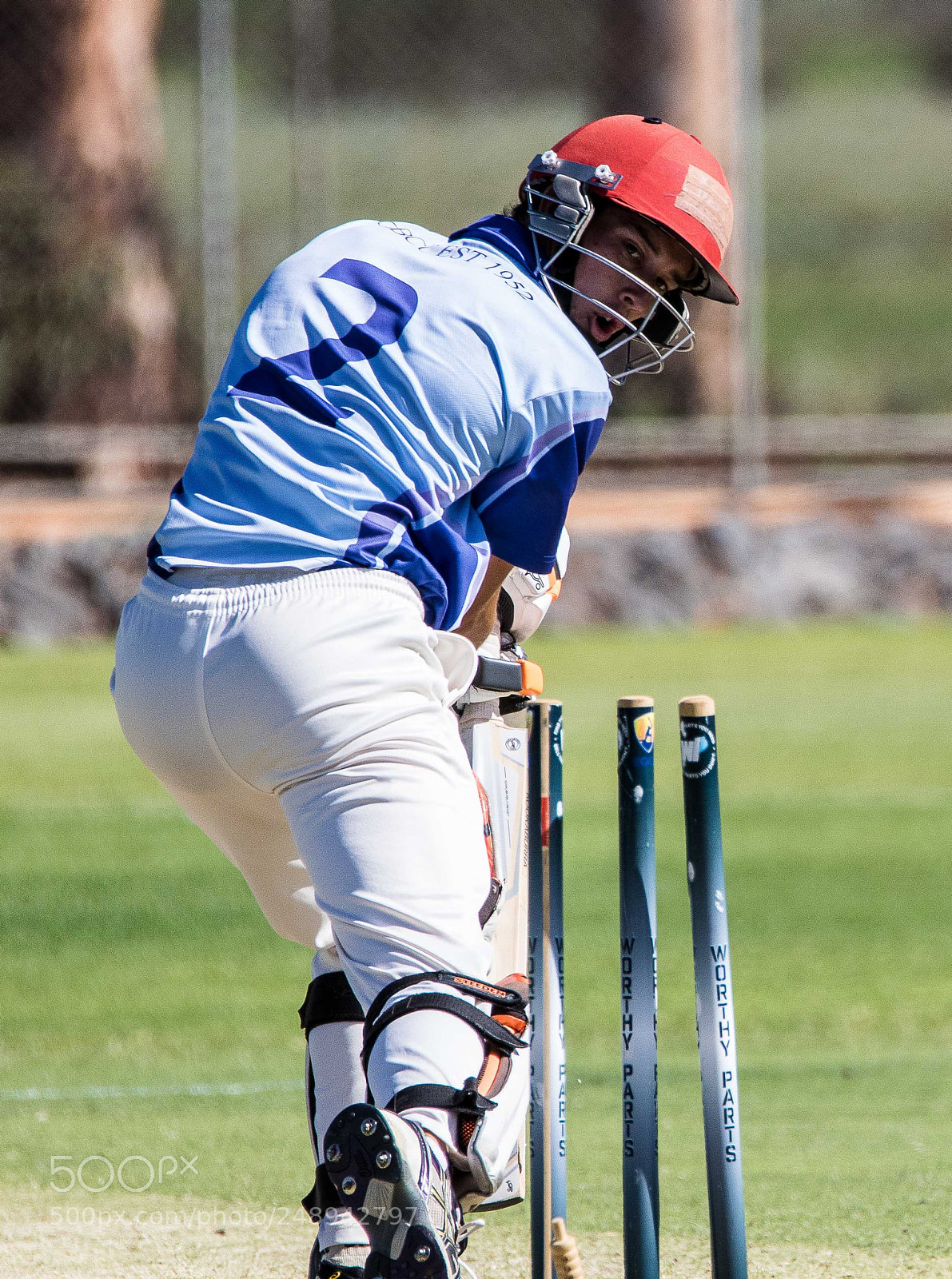 Canon EOS 7D Mark II sample photo. Cricket photography