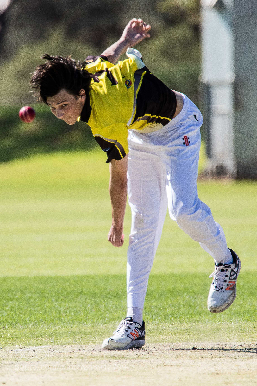Canon EOS 7D Mark II sample photo. Cricket photography