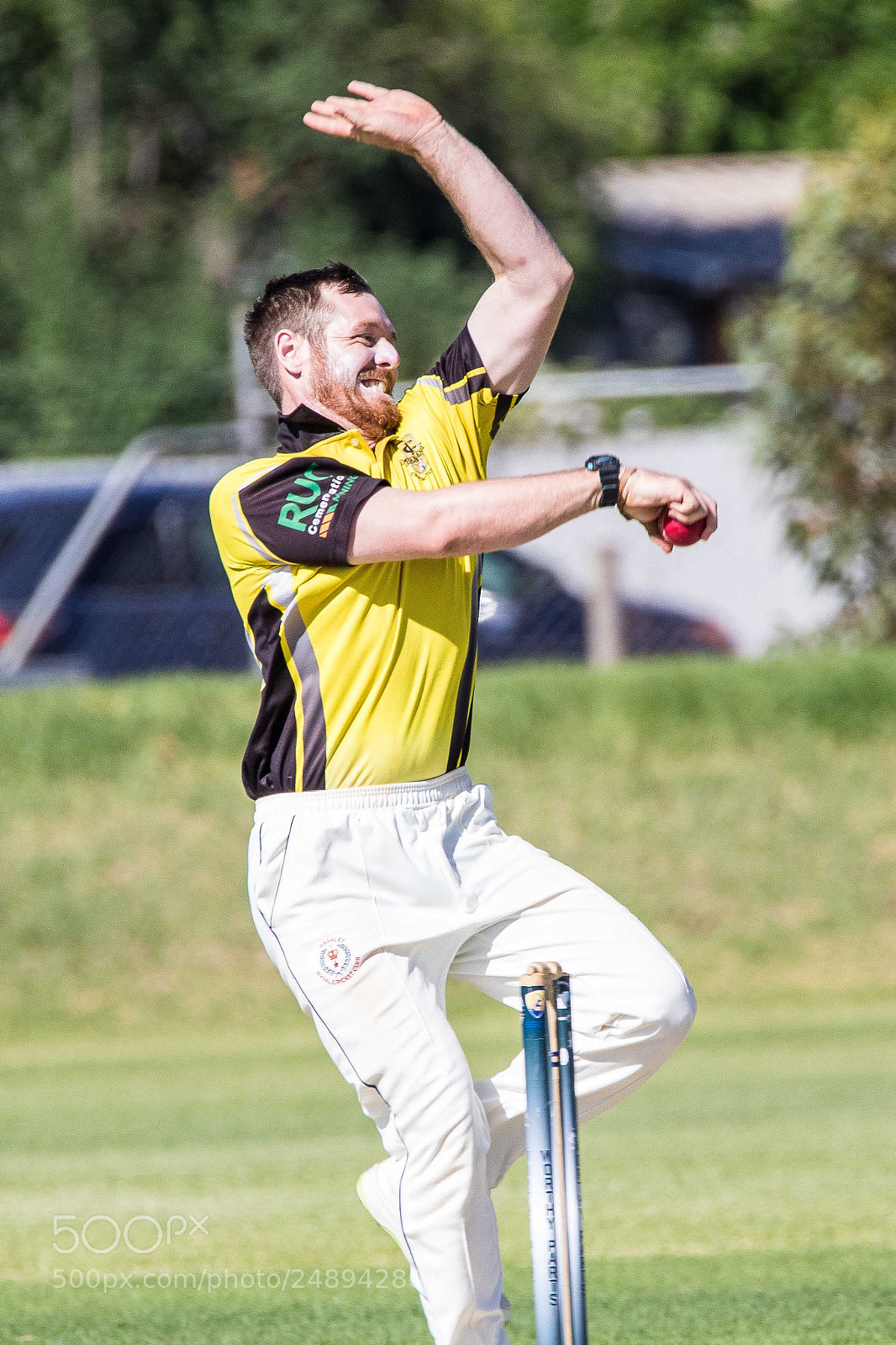 Canon EOS 7D Mark II sample photo. Cricket photography