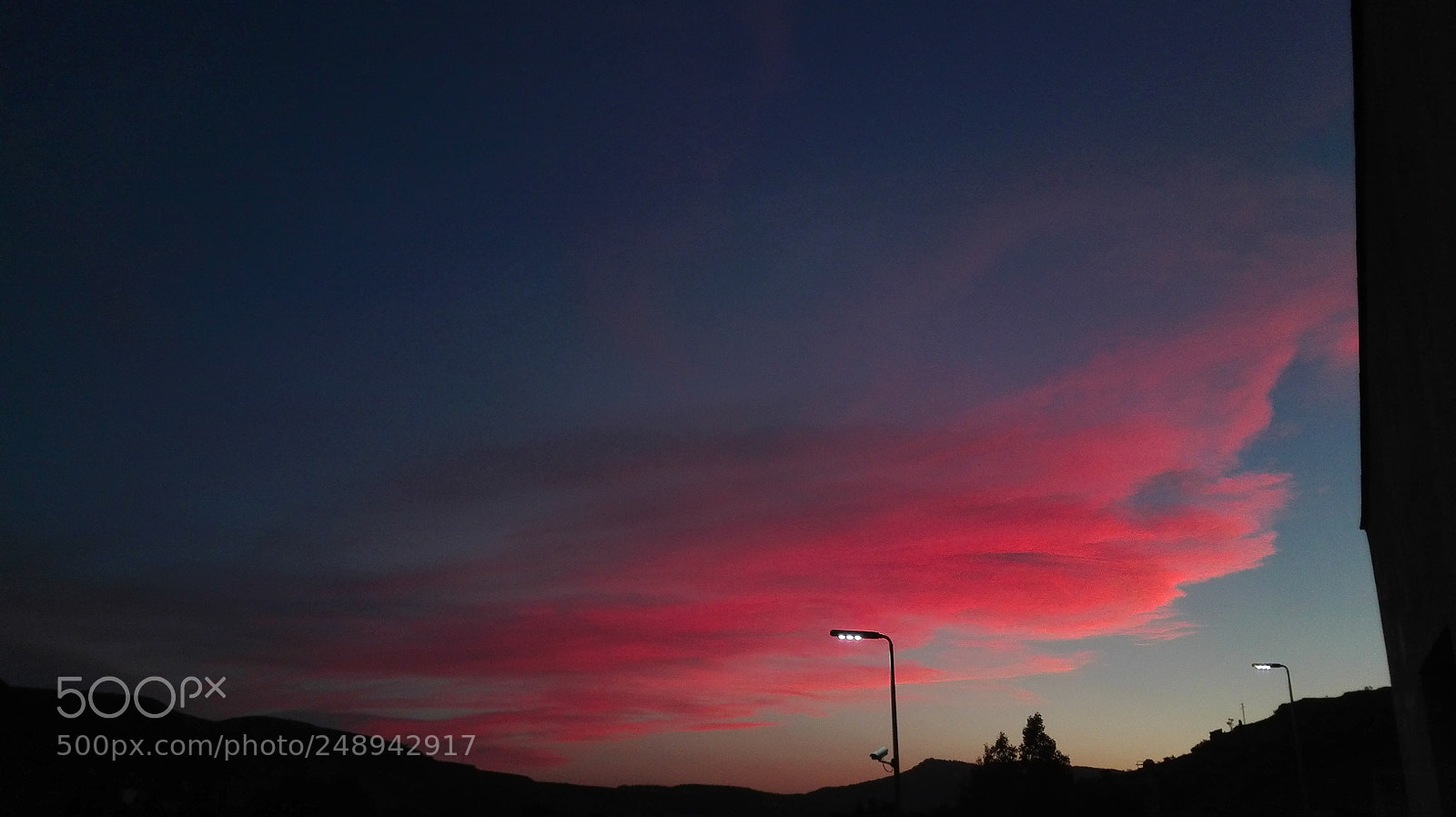 HUAWEI P8 Lite sample photo. Only pink photography
