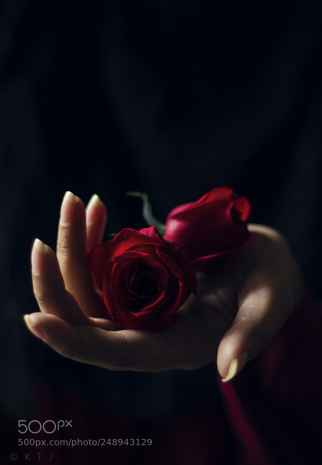 Canon EOS 700D (EOS Rebel T5i / EOS Kiss X7i) sample photo. Fragile hearts photography