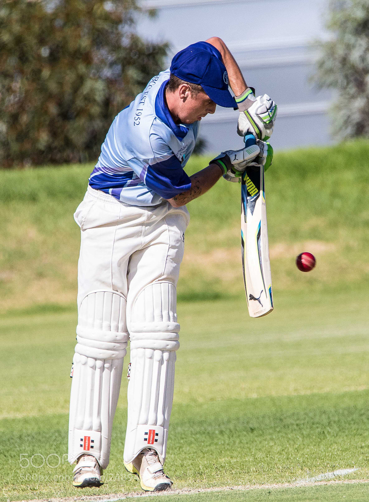 Canon EOS 7D Mark II sample photo. Cricket photography