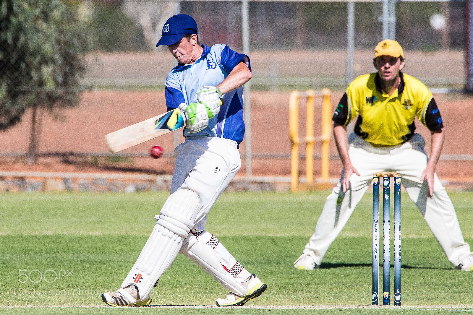 Canon EOS 7D Mark II sample photo. Cricket photography