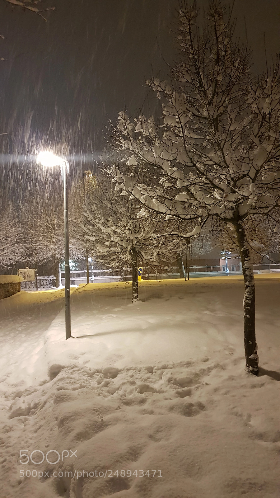 Samsung Galaxy S8 sample photo. Untitled photography