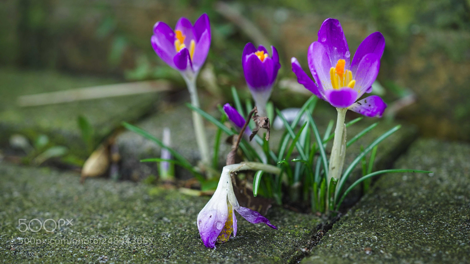 Sony a7 sample photo. The end is near... photography